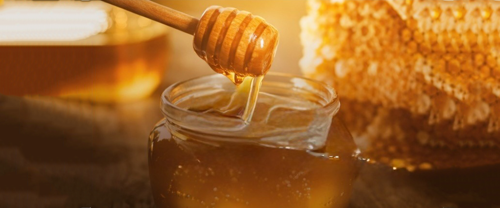 collection-banner-image